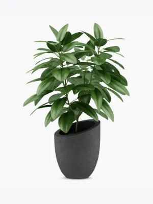 product-image-1_optimized Minim Veniam